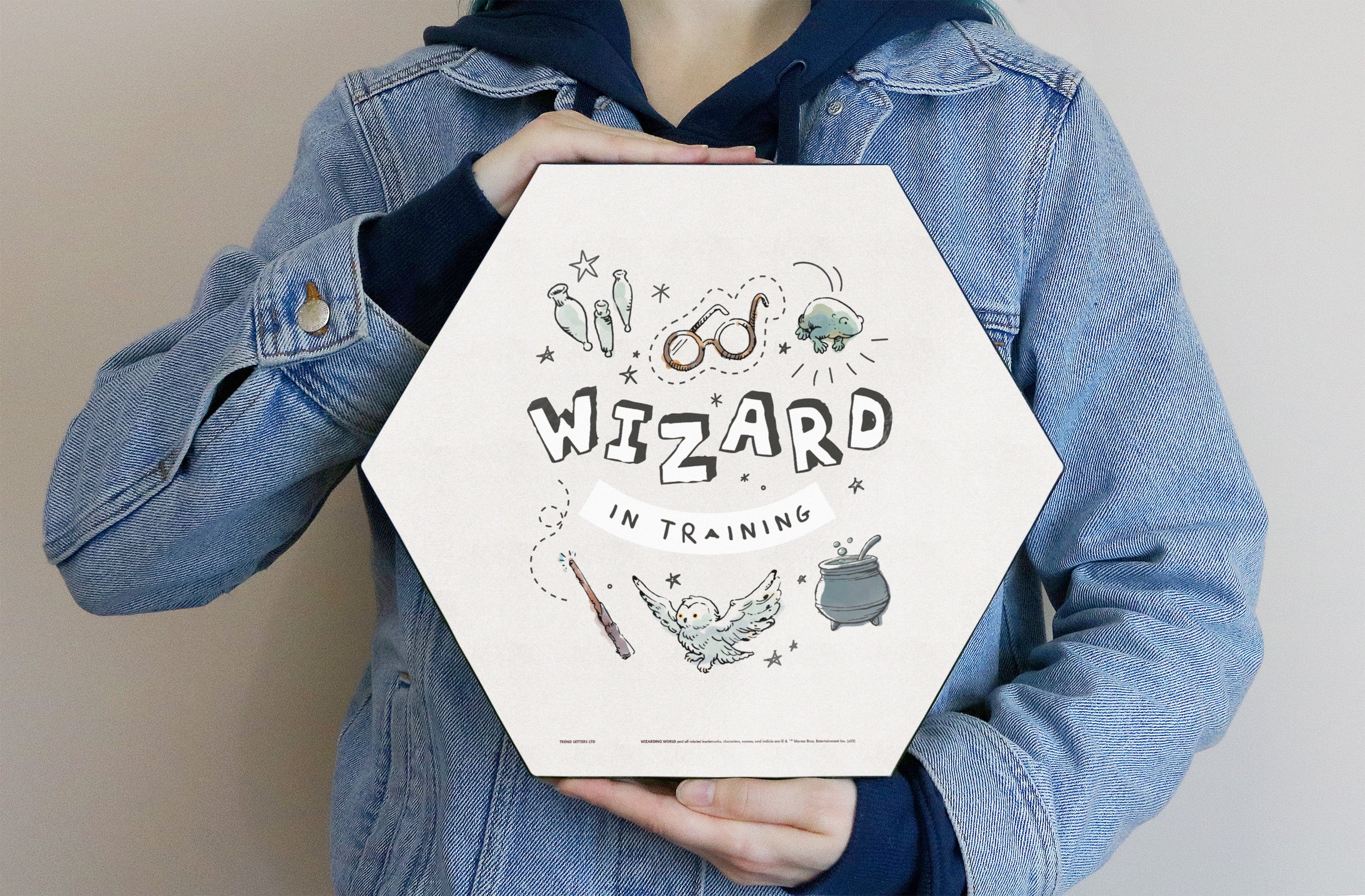 Harry Potter (Charming Vintage Wizard in Training) KNEXAGON® Wood Print WPHEX4250CHVN